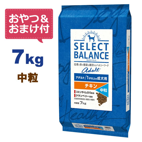 楽天市場】【最大10%OFFクーポン配布中】【おやつ＆おまけ付き