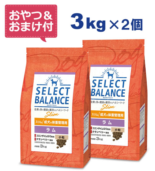 セレクトバランス　パピー　チキン　3kg×2 SELECT BALANCE セレクトバランス パピー チキン 子犬・母犬用