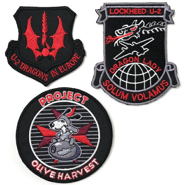 楽天市場】Military Patch（ミリタリーパッチ）51 SECURITY FORCES