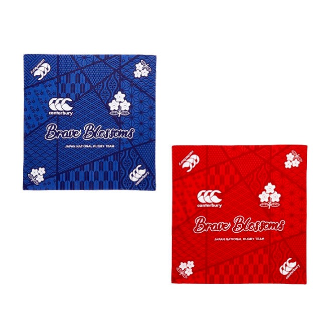 楽天市場】【10/30までポイント5倍】ラグビー南アフリカ共和国