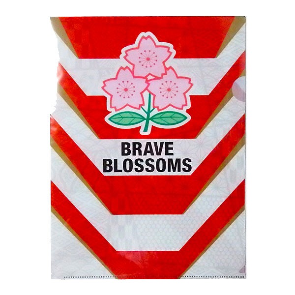 楽天市場】ラグビー日本代表 B5下敷き サポーターグッズ RJ35517