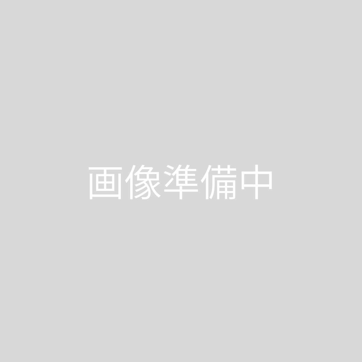 リアラダー 4&times;4エンジニアリング ランドクルーザープラド 12#シリーズ トヨタ ベンド(曲げ)タイプ TLP-B03 4x4エンジニアリング 4&times;4Engineering｜車パーツDIY 39,077円