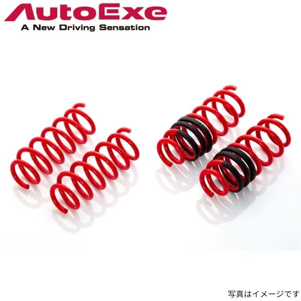 autoexe-ldspring.jpg