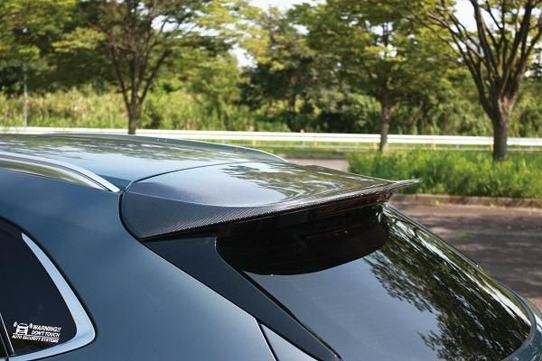 ガレージベリー CX-30(DM) リアルーフスポイラー 3DA-DM8P GARAGE VARY 35-3003 法人様のみの配送