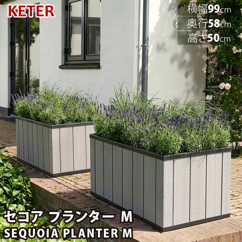 【 KETER 】 ケター セ中核グループ プランター M大きさ 235561m 1米突 横幅99 奥ぶかさ58 高さ50糎 キャスター付き添い人 灌水 大型 プランター お役目用 ガーデニング 鉢 植栽 植木 庭 大型 室外 室外 パーキング場 直送