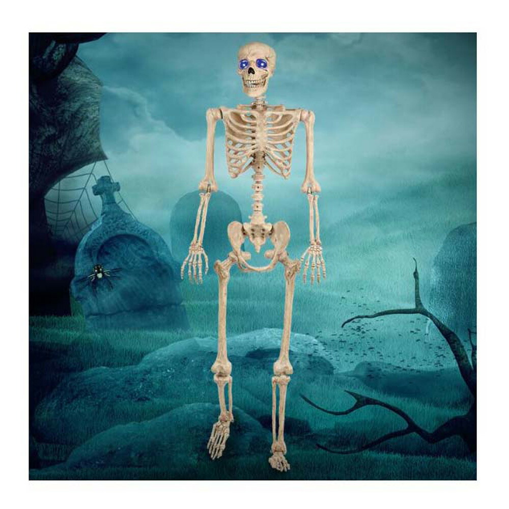 高質で安価 スケルトン ガイコツ かわいいティーネージャー ハロウィン コスプレ ティーン用コスチューム 通常便なら 送料無料 通常便は送料無料 スケルトン クリスマス コスプレ 衣装 コスチューム イベント キナル別注 R4urealtygroup Com