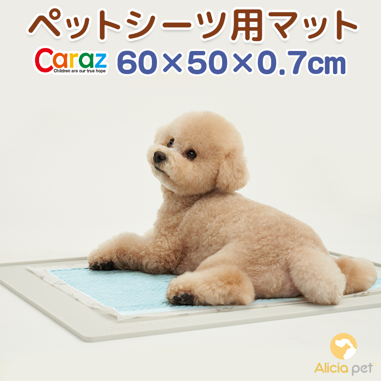 捧呈 おしっこシーツ カラズ マット レギュラー 防水 ペットアイテム ペットシーツ 犬 caraz ペットマット 猫 シート 水 トイレ ラグ  ワイド 薄型 トイレシート ペットシーツマット ペット用 ペットシート 厚型 シーツ 洗える 犬用品