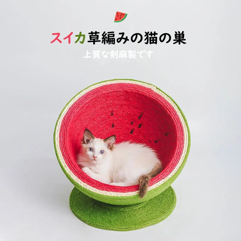 【数量限定】日清 ペットハウス　チキンラーメン型 猫　犬 Amazon | 日清食品 ペットハウス チキンラーメン型 クッション