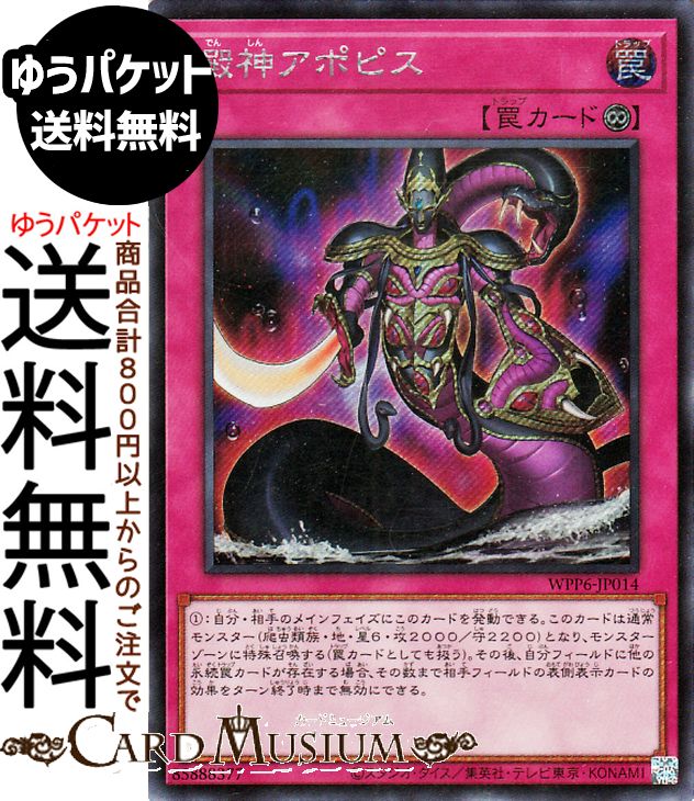 wpp6-jp014-si-a.jpg
