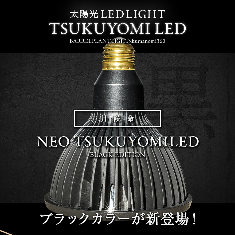 TSUKUYOMI LEDライト 2個、真鍮ソケット2個 TSUKUYOMI LEDライト 2個、真鍮ソケット2個