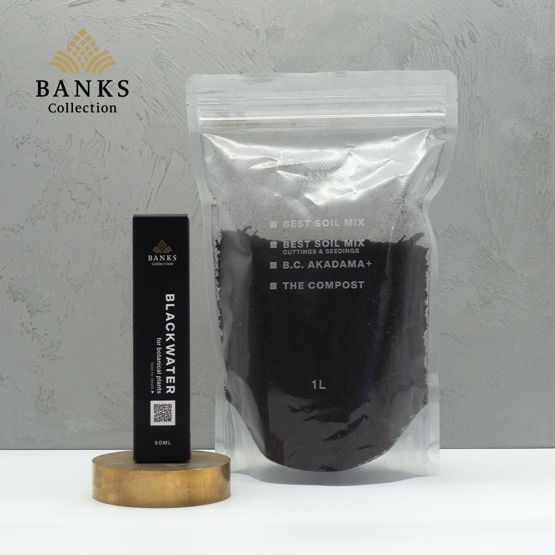 楽天市場】BLACKWATER REFILL 【500ml 】お得な詰め替えボトル【送料