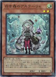 遊戯王 白き森のアステーリャ スリーブ 中国 JUDGE 2025 遊戯王 中国 JUDGE 2025 白き森のアステーリャ スリーブ 公式】遊戯王