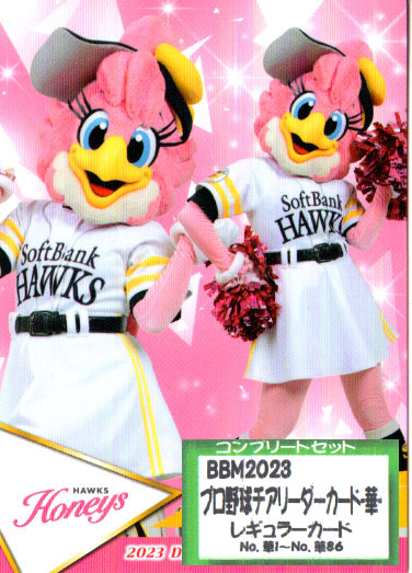 楽天市場】BBM2023 プロ野球チアリーダーカード-華・舞- Tigers