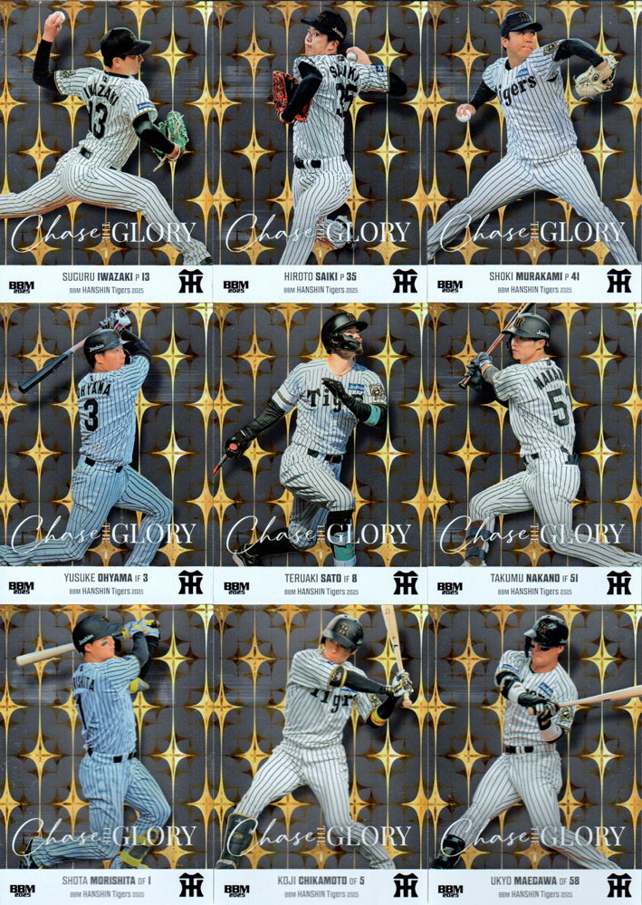 BBM 2009 阪神タイガース　藤川球児　ユニフォームカード　ジャージカード BBM 2009 阪神タイガース 藤川球児 ユニフォームカード ジャージ