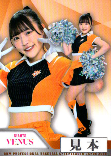 豊富な，HOT】 4枚セット BBM2025 チアリーダー 土原一花 上野華菜 村上