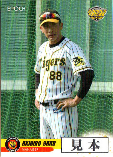 楽天市場】プロ野球カード☆城島 健司 2011オーナーズリーグ07