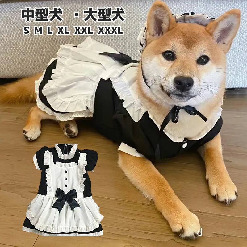 楽天市場】小型わんこ 襟付き 白エプロン ロリータワンピース