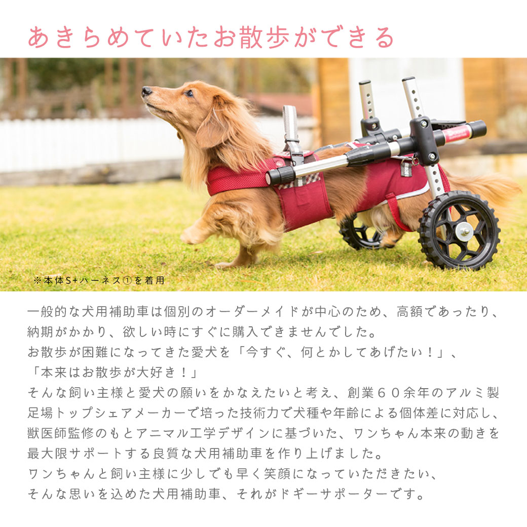 ペットアドバンス ドギーサポーター セット 介護 □ 補助車本体M＋