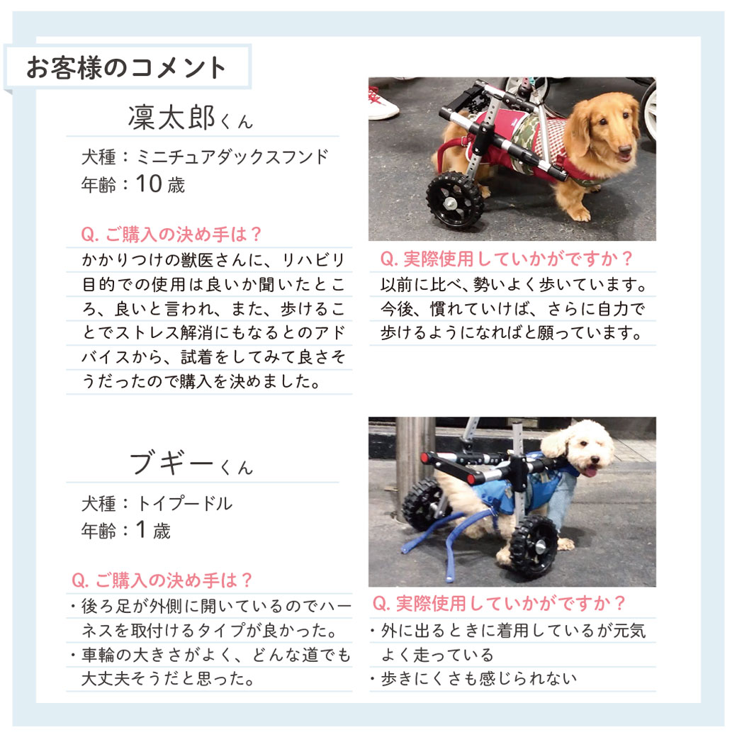 犬の車椅子 ドギーサポーターM（レッド） | www.jarussi.com.br