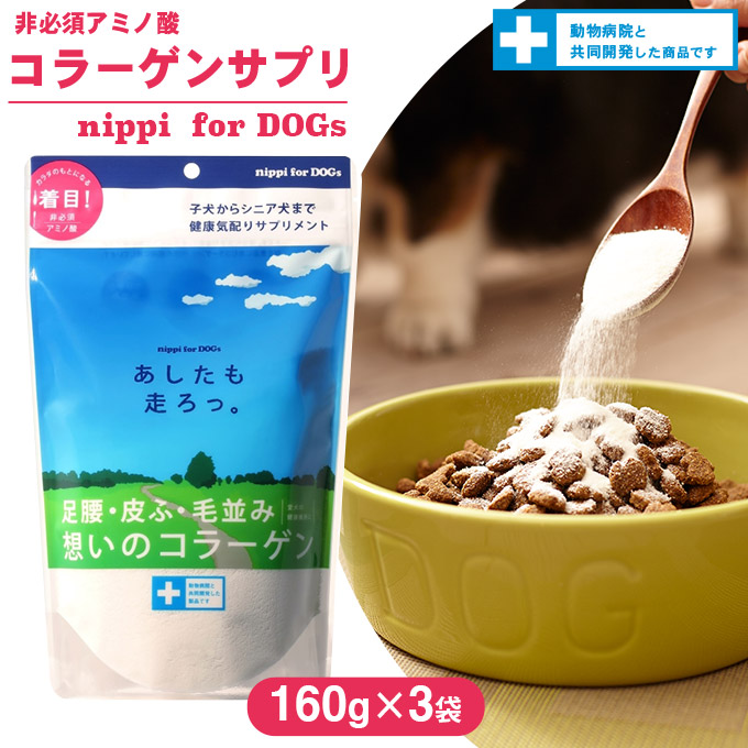 楽天市場 ニッピ あしたも走ろっ 160g 3袋 犬 ドッグ サプリメント Supplement コラーゲン 栄養補助食品 粉末 パウダー 健康維持 あす楽対応 カレッツァ 犬用品 ドッグフード