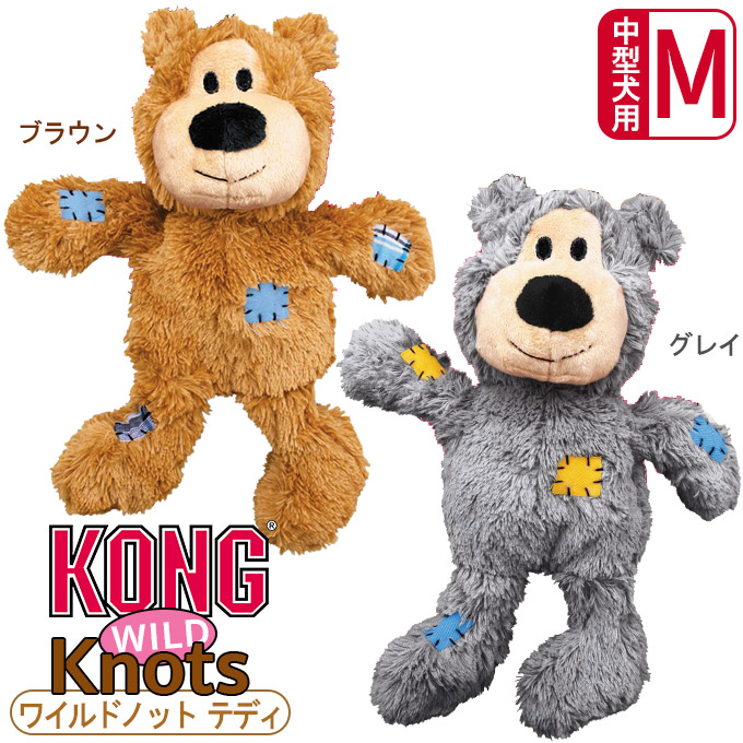 kong teddy