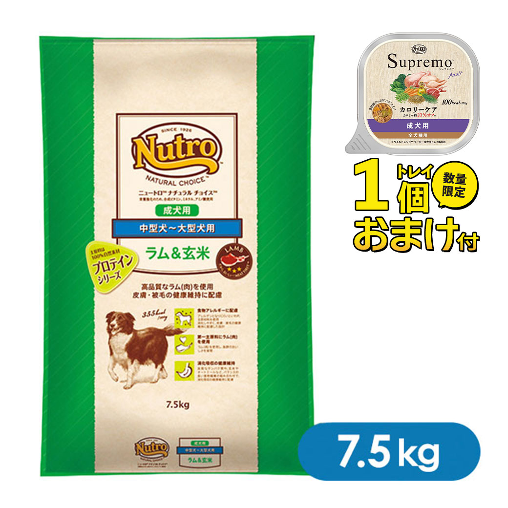 高質 ニュートロナチュラルチョイス エイジングケア ラム玄米 1kg×2袋