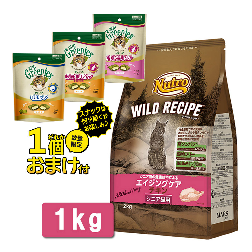 ニュートロ　キャット　デイリー　ディッシュ　成猫以上用　ビーフ　グルメ仕立てのパテタイプ　７５ｇ　トレイ　お一人様２４点限り　関東当日便