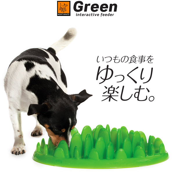 マーケット ゆっくりデコボコ食器 M 1個 犬用 早食い防止 ドギーマン 新商品