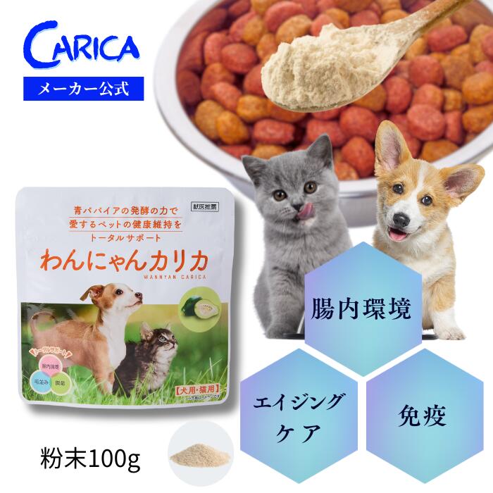 2026年6月百貨店大売り出し特設ペイジ
