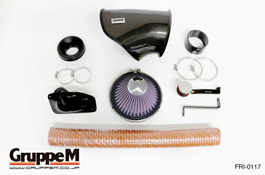 【GruppeM /グループ・エム】 ラム・エアシステム [BMW E53 FB44/FB46 専用] FRI-0117