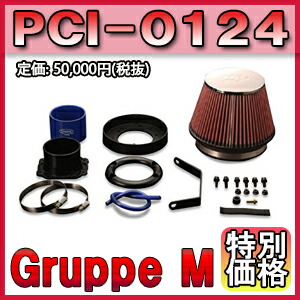 [メーカー取り寄せ] Gruppe M（グループM） POWER CLEANER / パワークリーナー 品番：PCI-0124 ※北海道・沖縄・離島については送料別料金となる場合があります