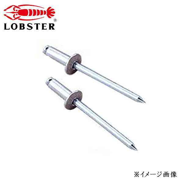 LOBSTER ロブテックス ブラインドリベット 丸頭 アルミボディ/スティールマンドレル1000本入 NSA56
