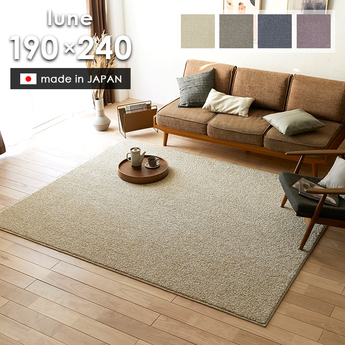 ラグ ルネ 190×240 cm 日本製 スミノエ製 防炎 消臭 滑り止め 床暖房 ホットカーペット 対応 シンプル ラグマット 送料無料 p5