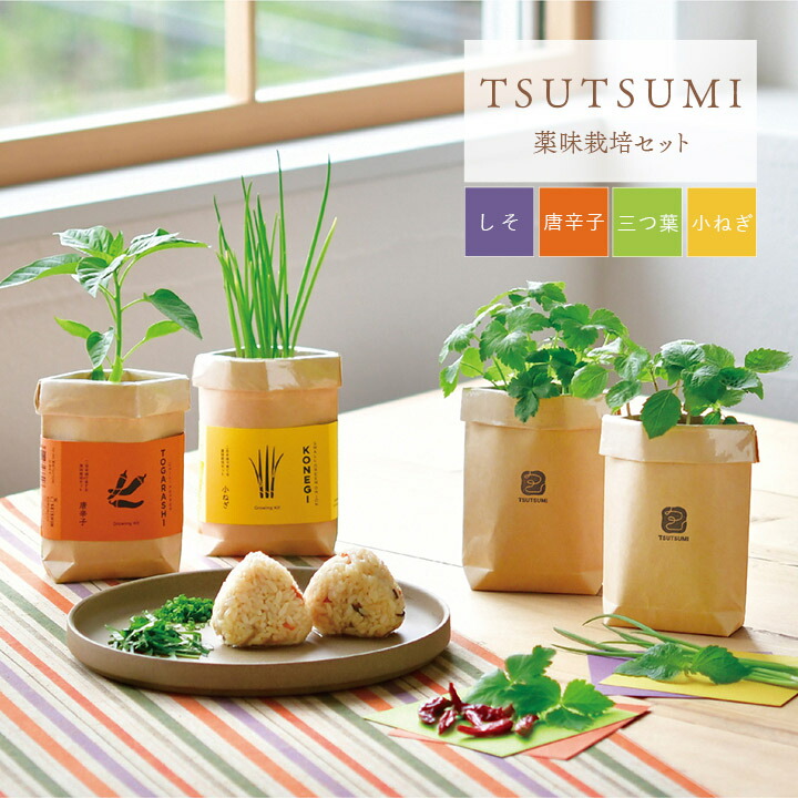 楽天市場】[3%offクーポン！12/20まで] ギフト すくすく栽培セットBOX