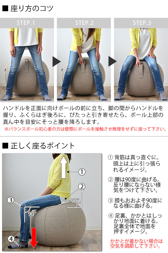 vivoraバランスボールシーティングボールルーノシェニール65cmカバー付き二重構造sittingballchairsLUNOChenille破裂防止ポンプ付体幹トレーニングヨガ筋トレ宅トレ室内運動器具姿勢骨盤矯正椅子座椅子ながらフィットネスエクササイズ