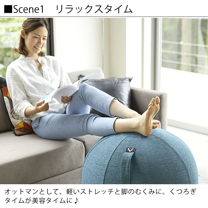 vivoraバランスボールシーティングボールルーノシェニールsittingballchairsLUNOChenille65cmカバー付き二重構造破裂防止ポンプ付ヨガ筋トレ宅トレ体幹トレーニング室内運動器具姿勢骨盤矯正椅子座椅子ながらフィットネスエクササイズ