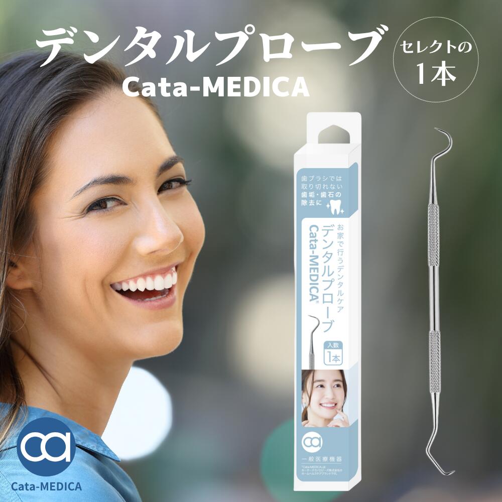 楽天市場】歯石取り 歯石とり デンタルプローブ ピック 器具 ツール