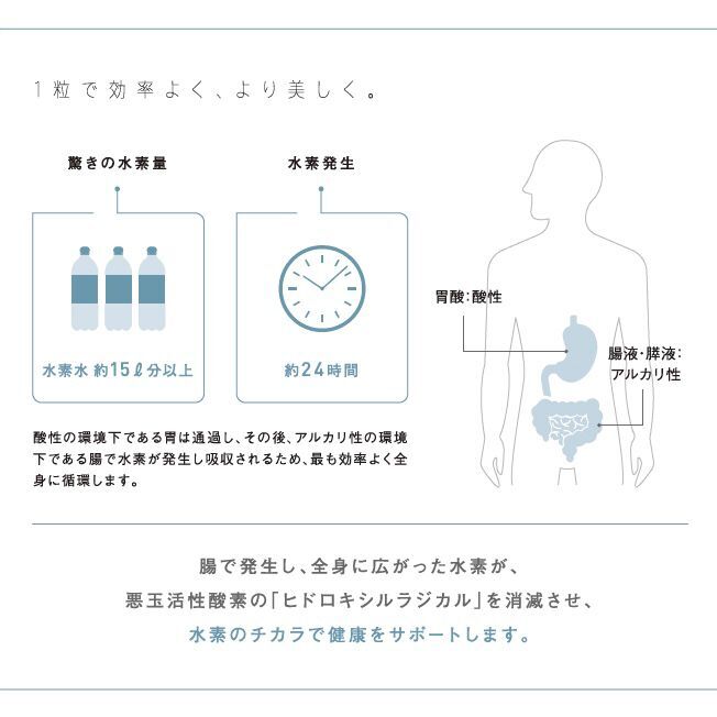 楽天市場 国際特許 最新 水素サプリメント Hh Labo ダブルエイチラボ 90粒 安心の日本製 健康 美容 腸内環境 エイジングケア 抜け毛 白髪 アトピー性皮膚炎 ダイエットをサポート 送料無料 畫骨carvex