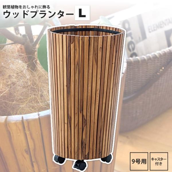 楽天市場】ウッドプランター L GUY-814 モンステラ ウッドプランター