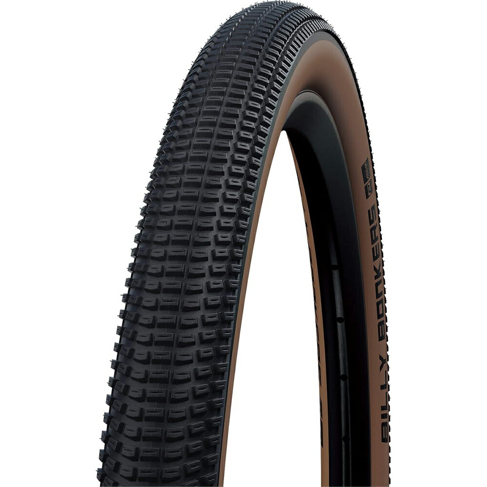 【新品・2本セット】SCHWALBE BILLY BONKERS 26×2.25 imgrc0098012911.jpg