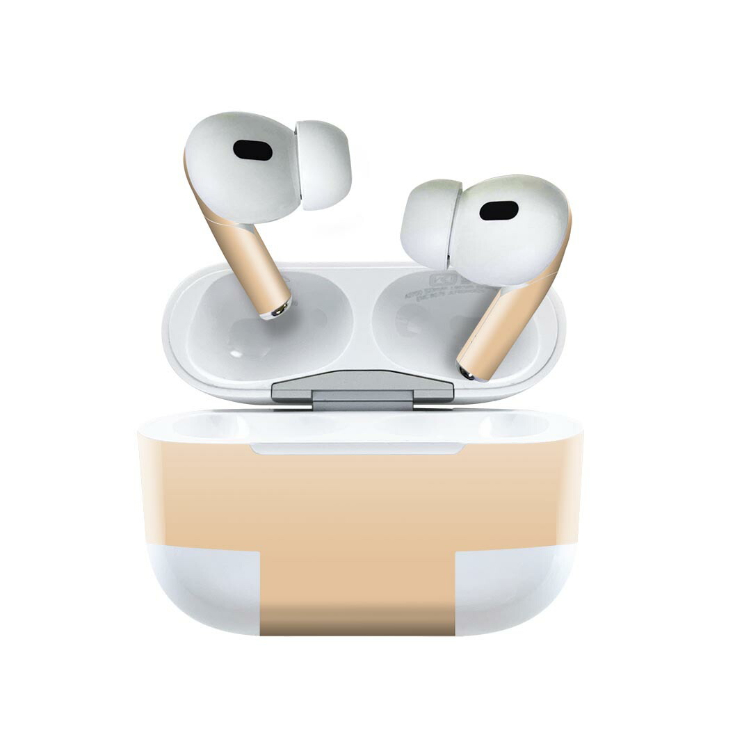 楽天市場】Air Pods Pro2 / Pro1 専用 デザインスキンシール