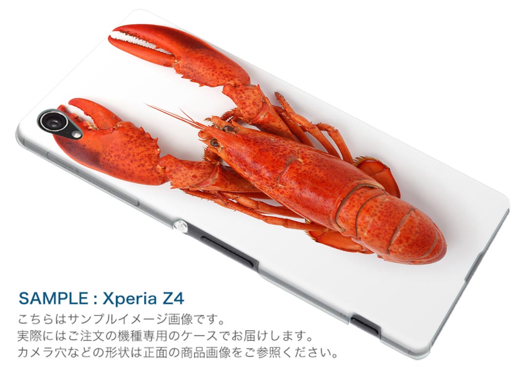 楽天市場 Sov34 Xperia Xz エクスペリア Xz Au エーユー スマホ カバー ケース スマホケース スマホカバー Tpu ソフトケース ザリガニ 生き物 アニマル スマコレ