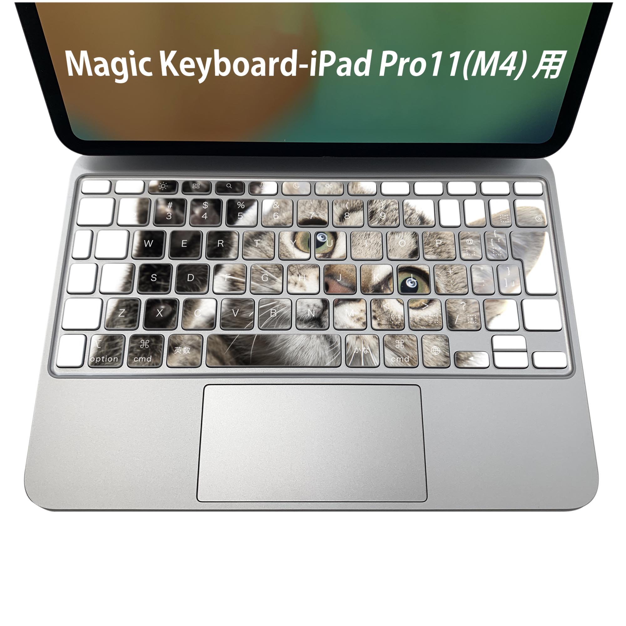 楽天市場】Magic Keyboard 専用 iPadPro11inch 13inch(M4) 2024 第5