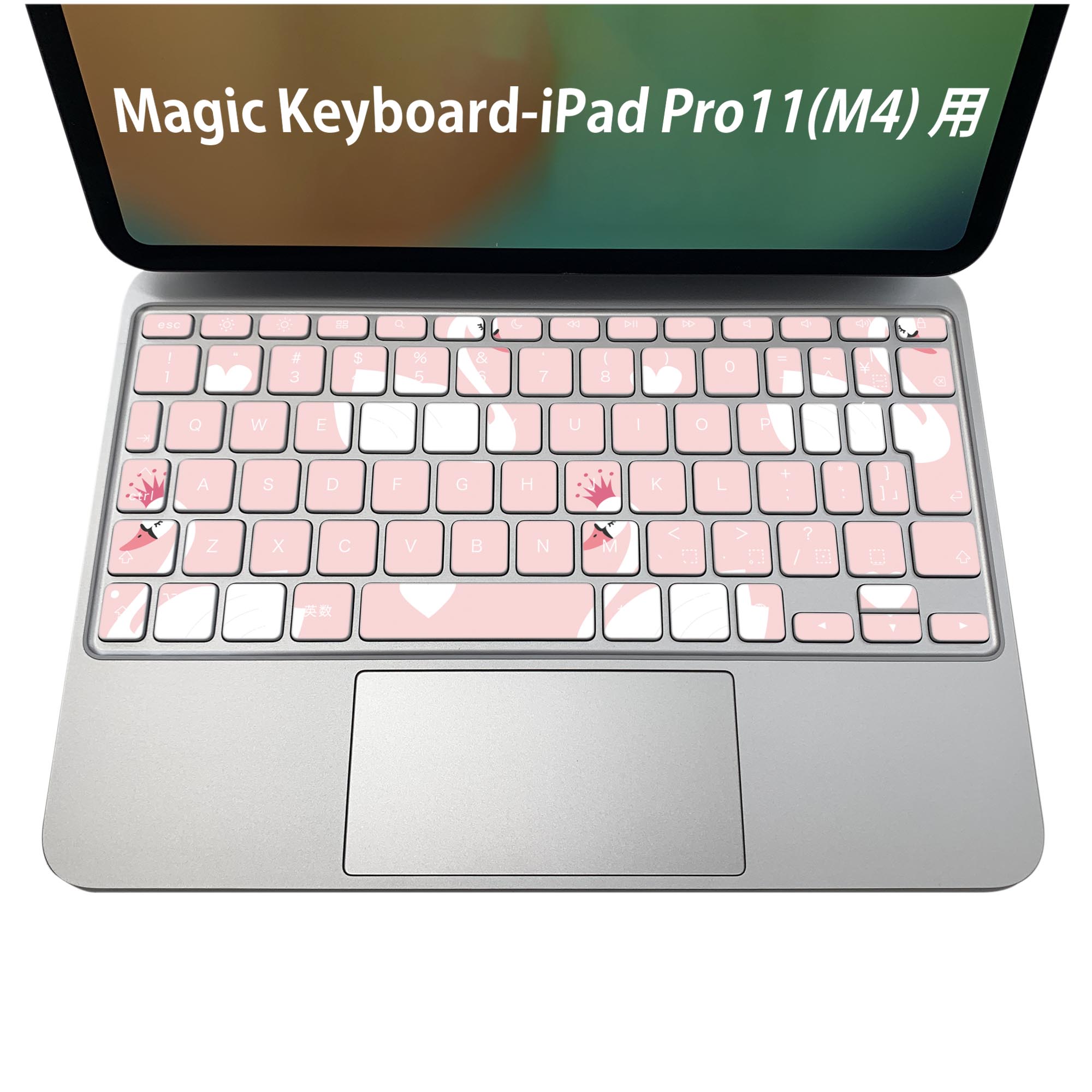 Magic Keyboard 11インチ(第5世代)用英語配列 保護ステッカー貼 Amazon.co.jp: [英語US配列、ファンクションキー付き] 2025 iPad