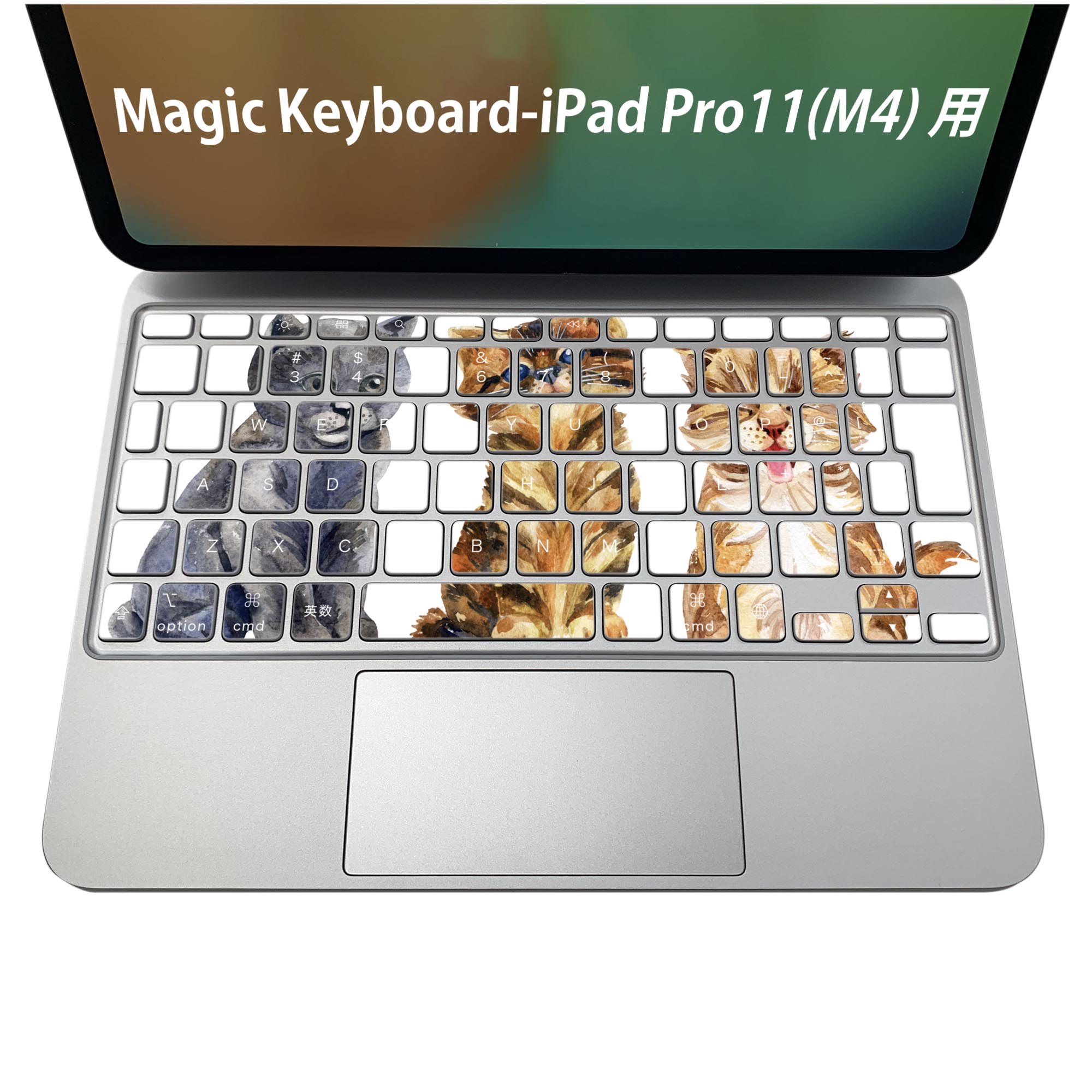 【箱付】【US配列】Magic Keyboard 13インチ＋スキンシール Amazon.co.jp: キーボード用 スキンシール Magic Keyboard