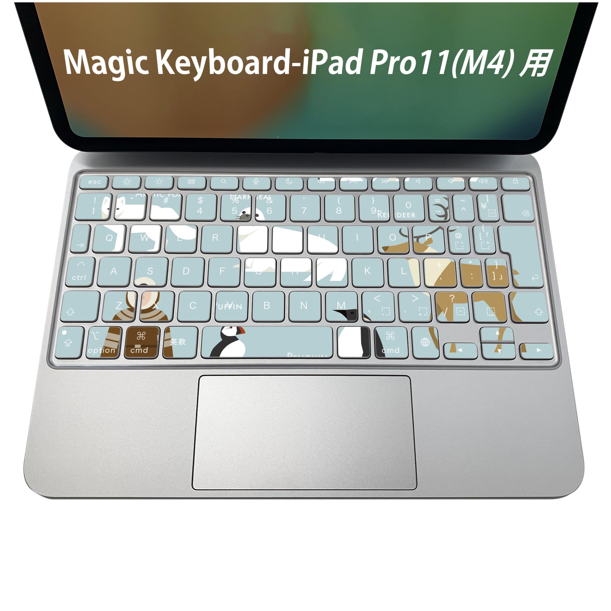 楽天市場】Magic Keyboard 専用 iPadPro11inch 13inch(M4) 2024 第5
