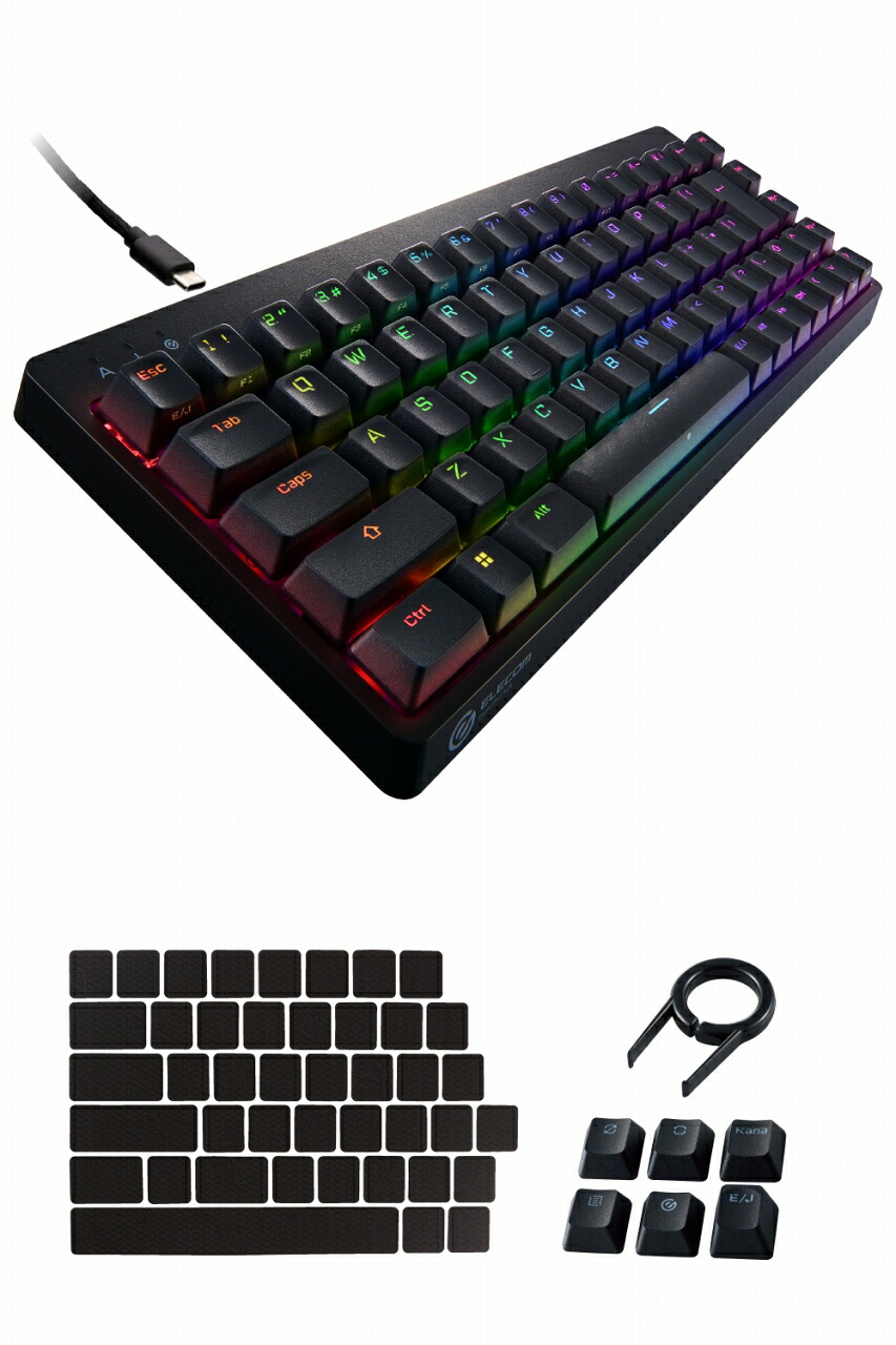 ELECOM（エレコム） ゲーミングキーボード 【V custom】 有線 着脱式ケーブル RGB メカニカル ( 銀軸 / スピードリニア ) 日本語配列 テンキーレス USB Aポート×1 ブラック TK-VK300SBK