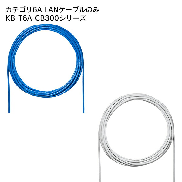 【送料無料】 SANWA SUPPLY（サンワサプライ） カテゴリ6A LANケーブルのみ KB-T6A-CB300