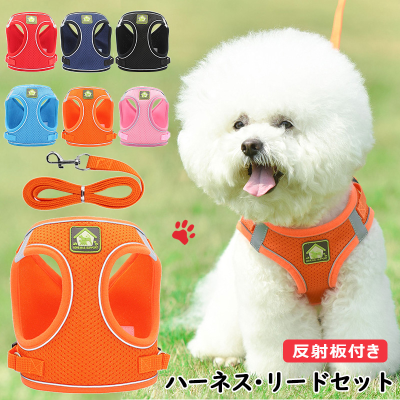 Sale15 犬用リード ハーネス2点set Black革blue系マルチドット 定価の31 Off その他 Rspg Spectrum Eu