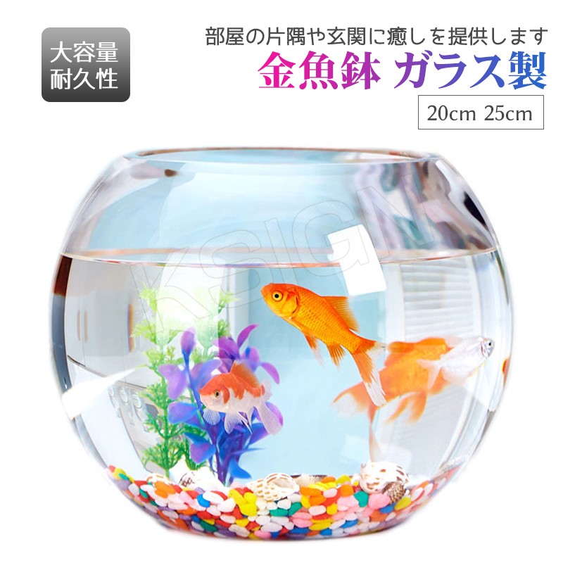 楽天市場】29cm 金魚鉢 ガラス製 透明 丸 鉢 和風 可愛い ミニ水槽